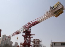 表論QTP315塔式起重機(jī)市場(chǎng)前景